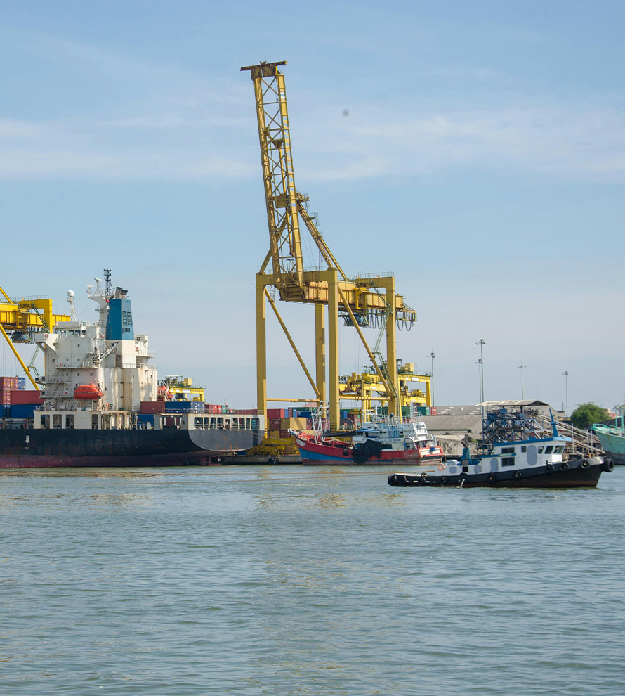 pexels-khunkorn-laowisit-497497-1211787